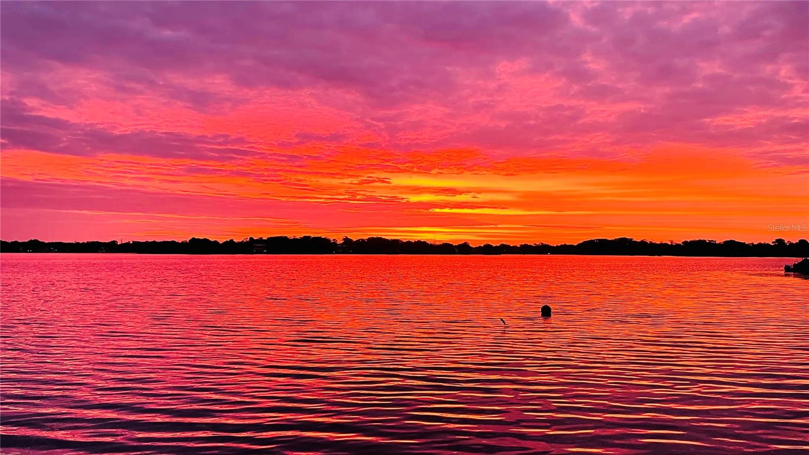 Image 75 of 78 For 1860 Summerland Avenue