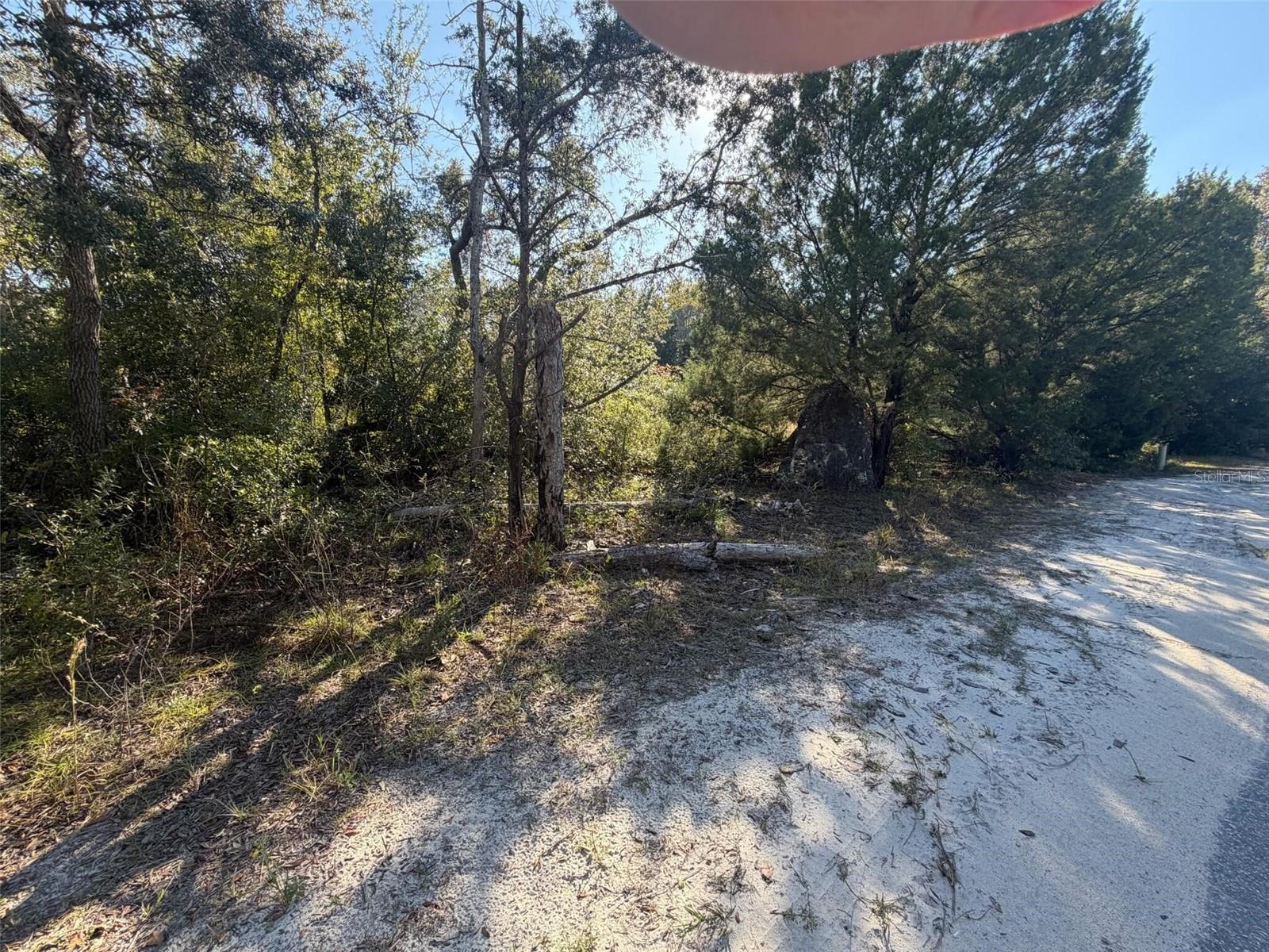 Image 4 of 5 For 7360 Chassahowitzka Street