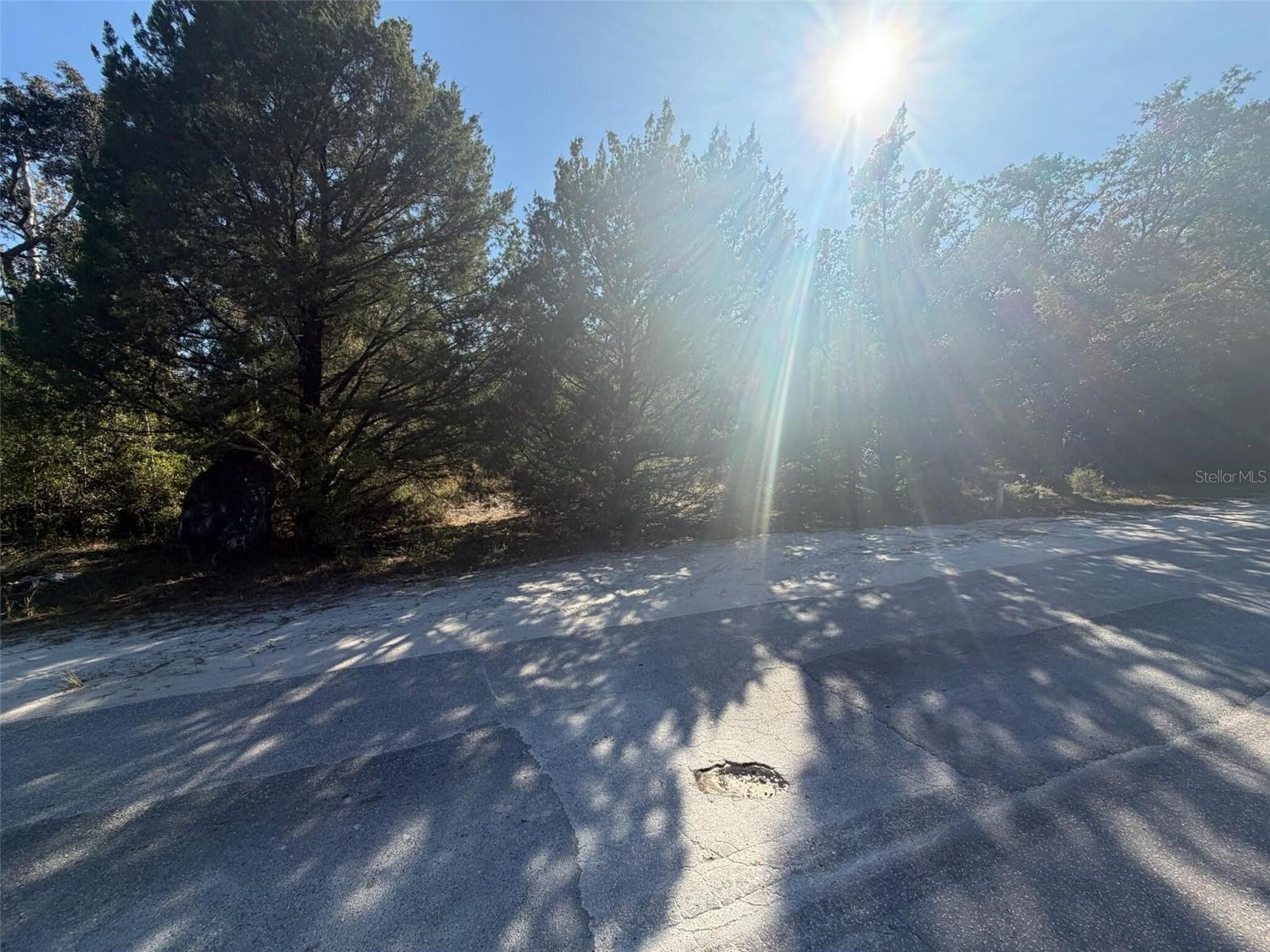 Image 5 of 5 For 7360 Chassahowitzka Street