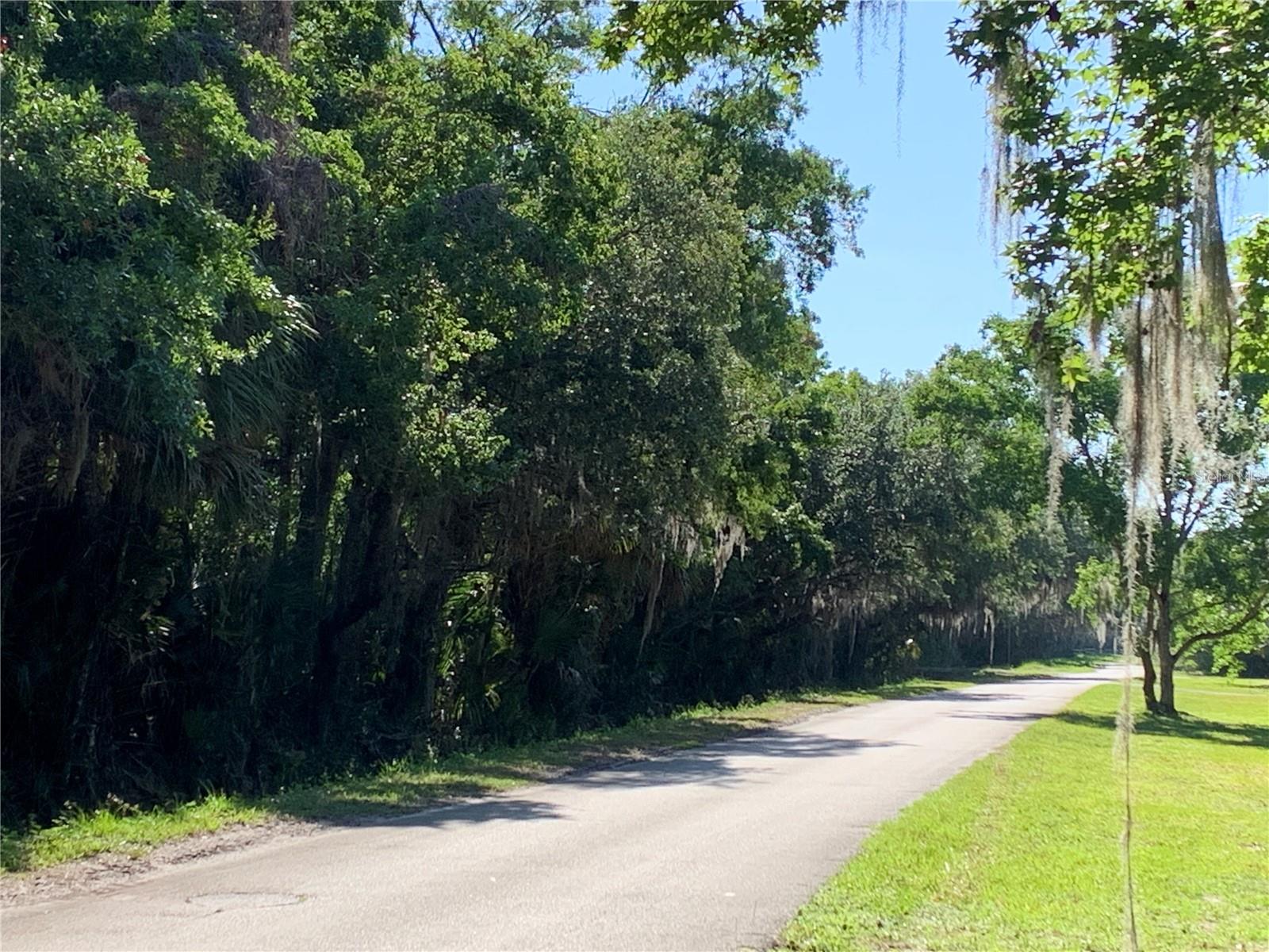 Image 2 of 8 For 1310 Palm Way