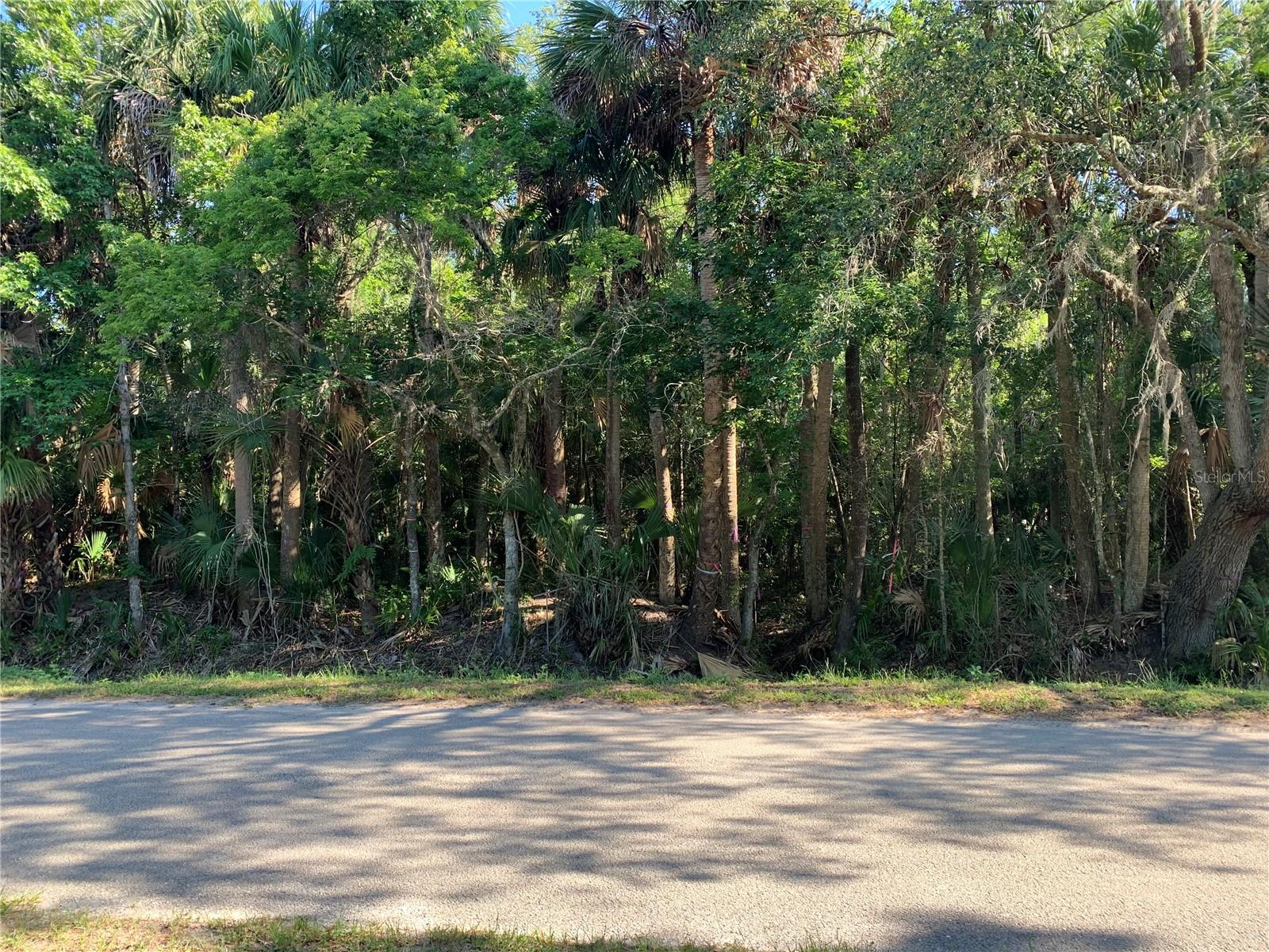 Image 3 of 8 For 1310 Palm Way