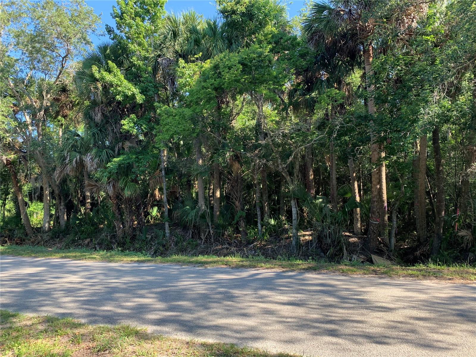 Image 4 of 8 For 1310 Palm Way