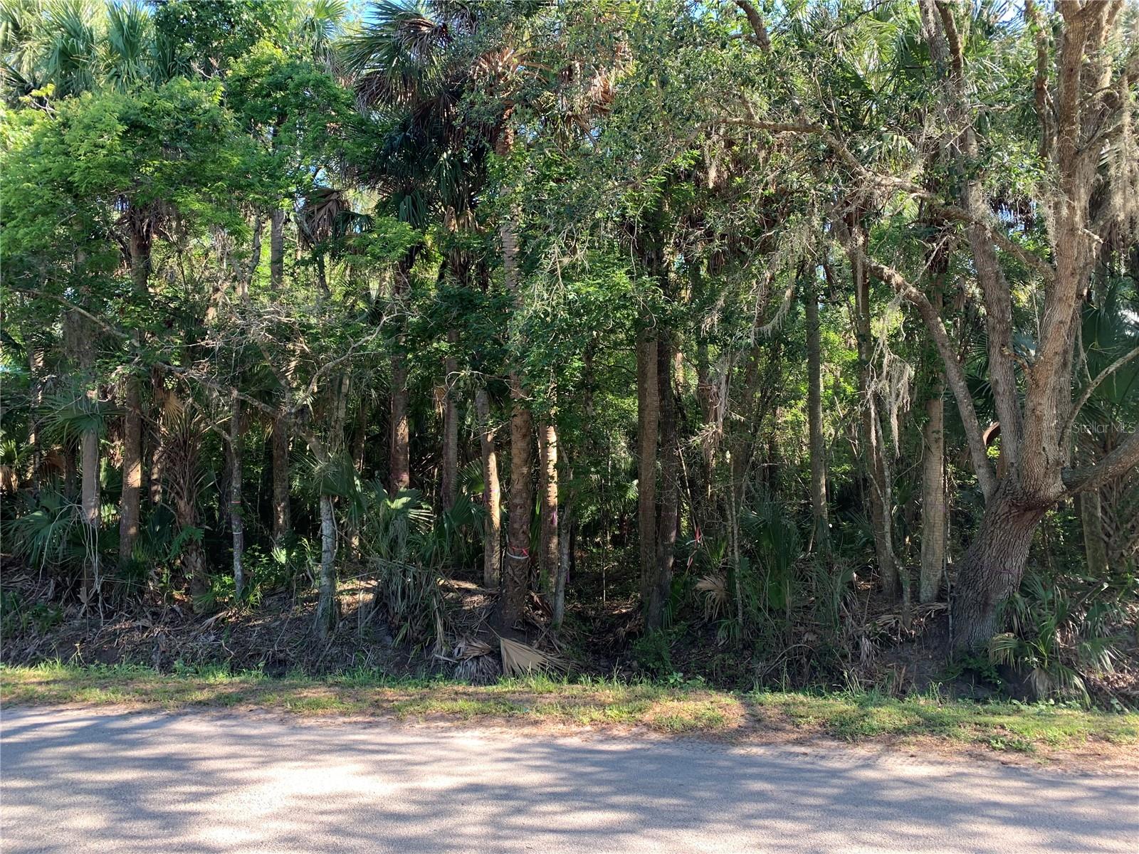 Image 6 of 8 For 1310 Palm Way