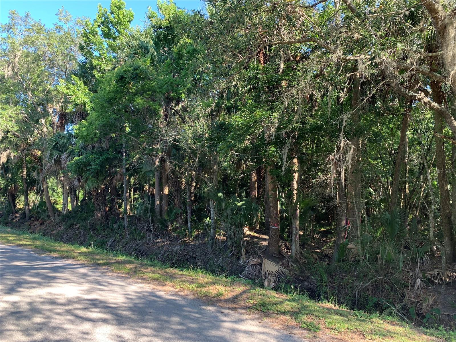 Image 7 of 8 For 1310 Palm Way