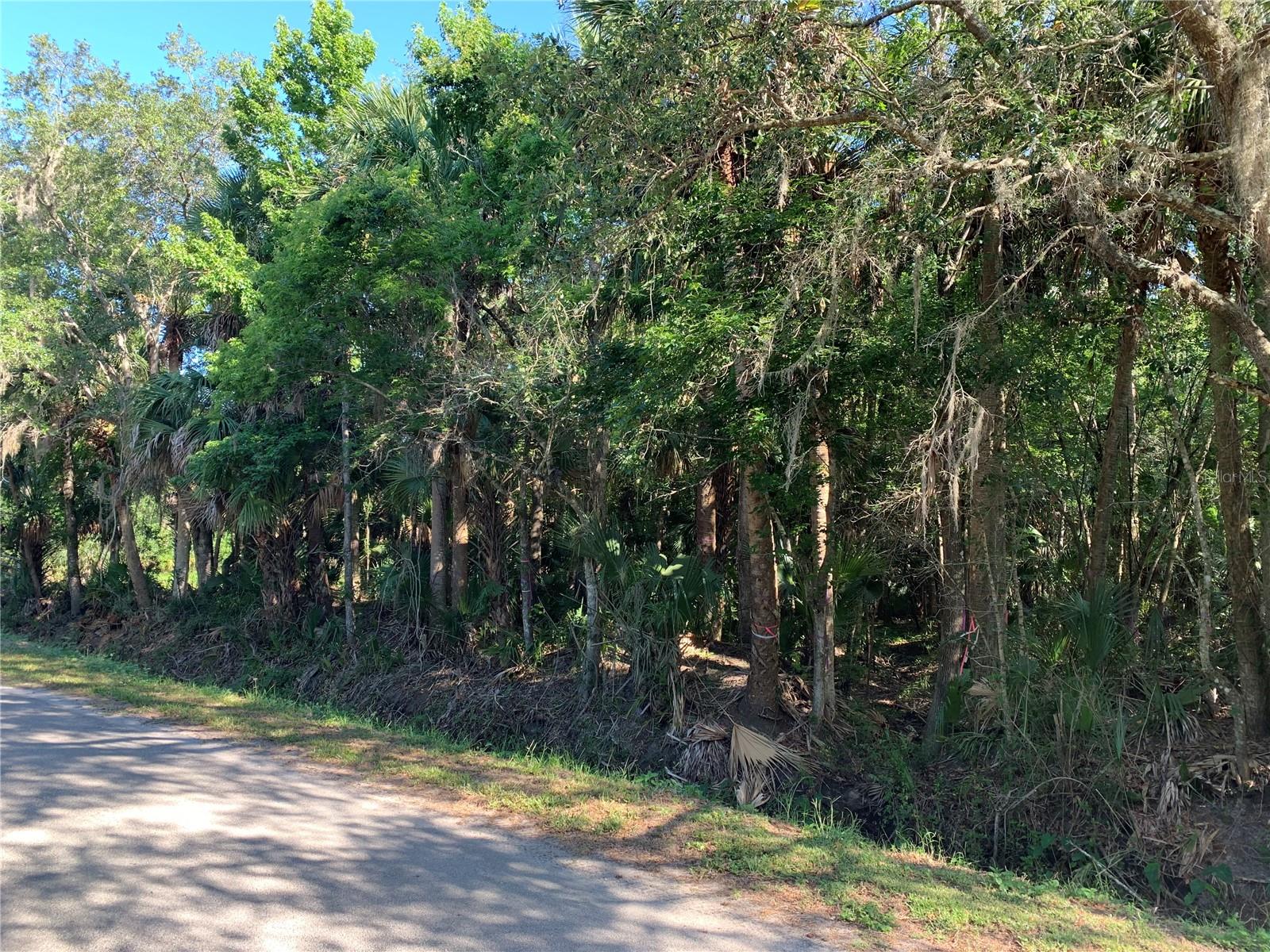 Image 8 of 8 For 1310 Palm Way