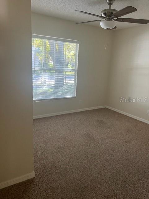 Image 14 of 19 For 553 Maidenhair Court