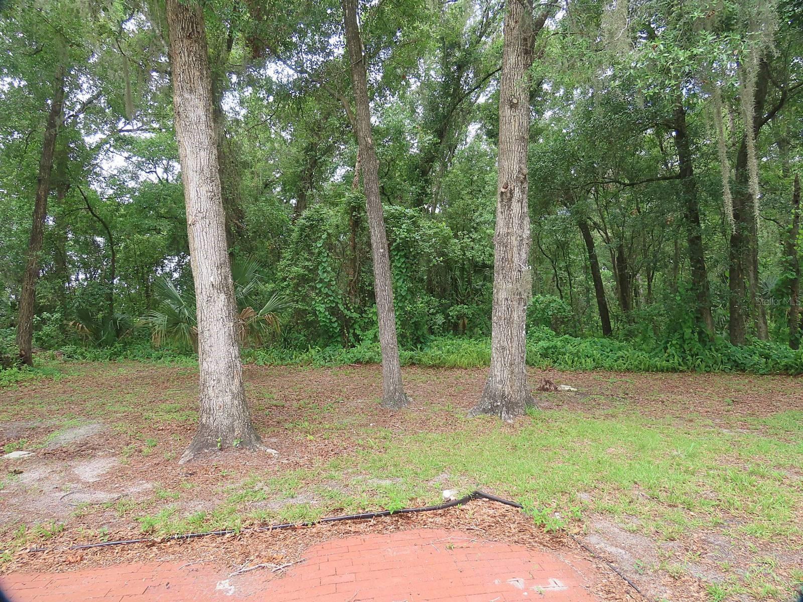 Image 23 of 29 For 1174 Fern Lane