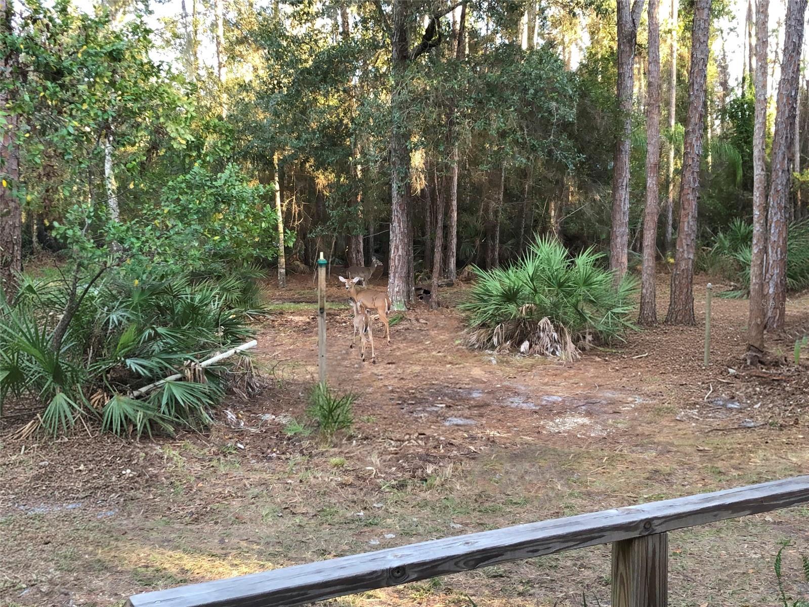 Image 12 of 16 For 5125 Moore Street