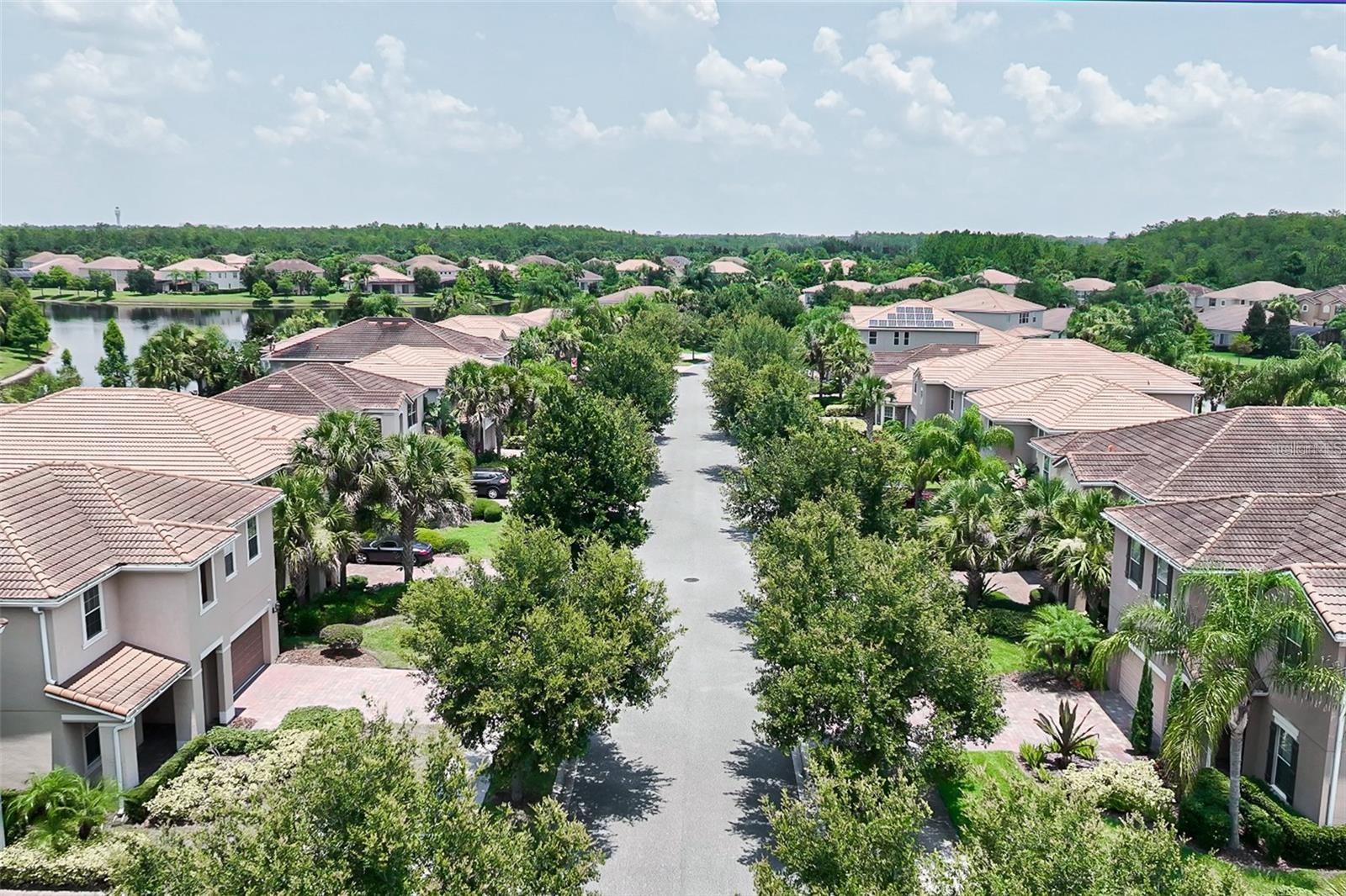 Image 16 of 17 For 12065 Forsythia Drive