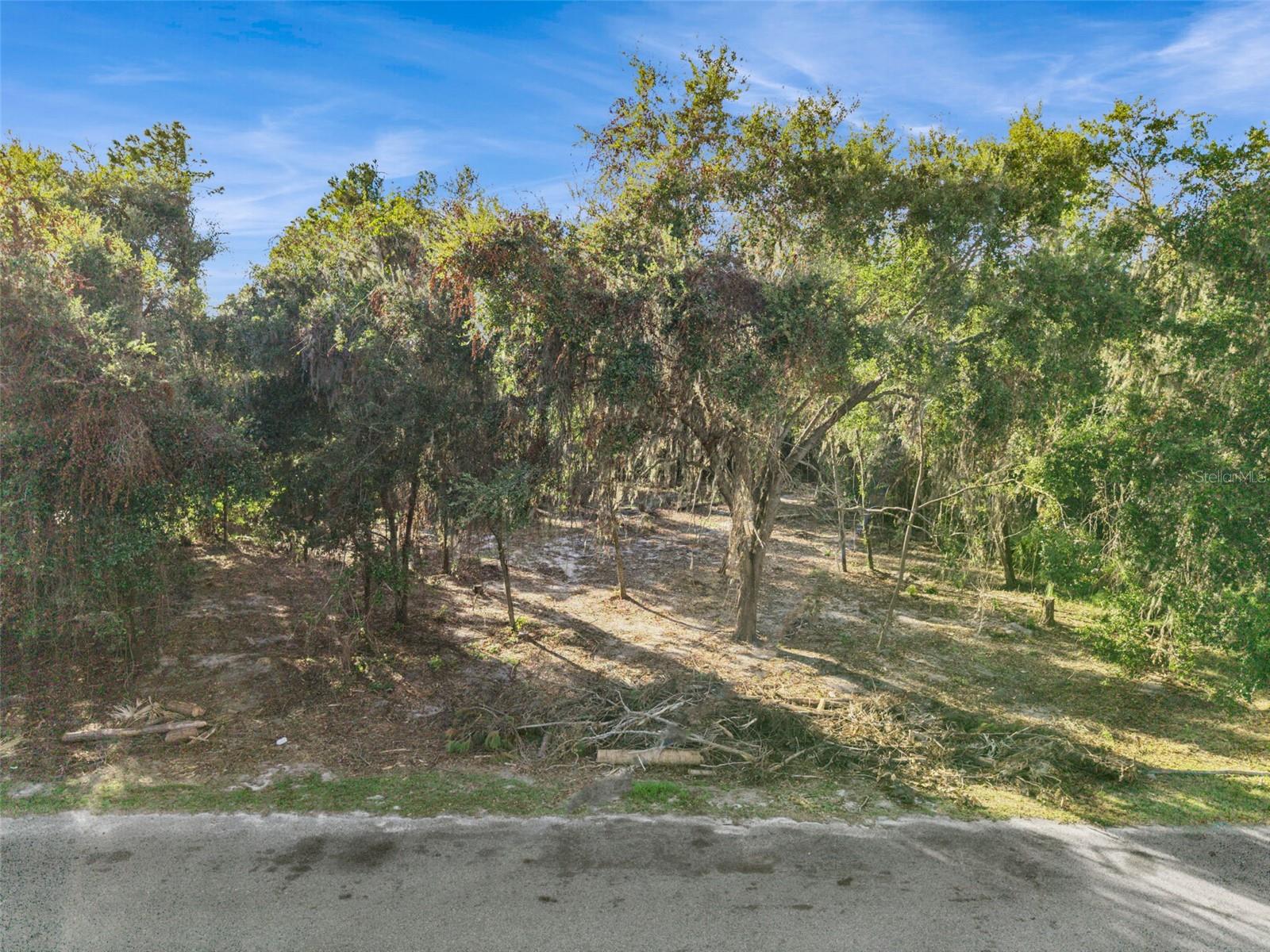 Details for 705 Newell Hill Road, LEESBURG, FL 34748