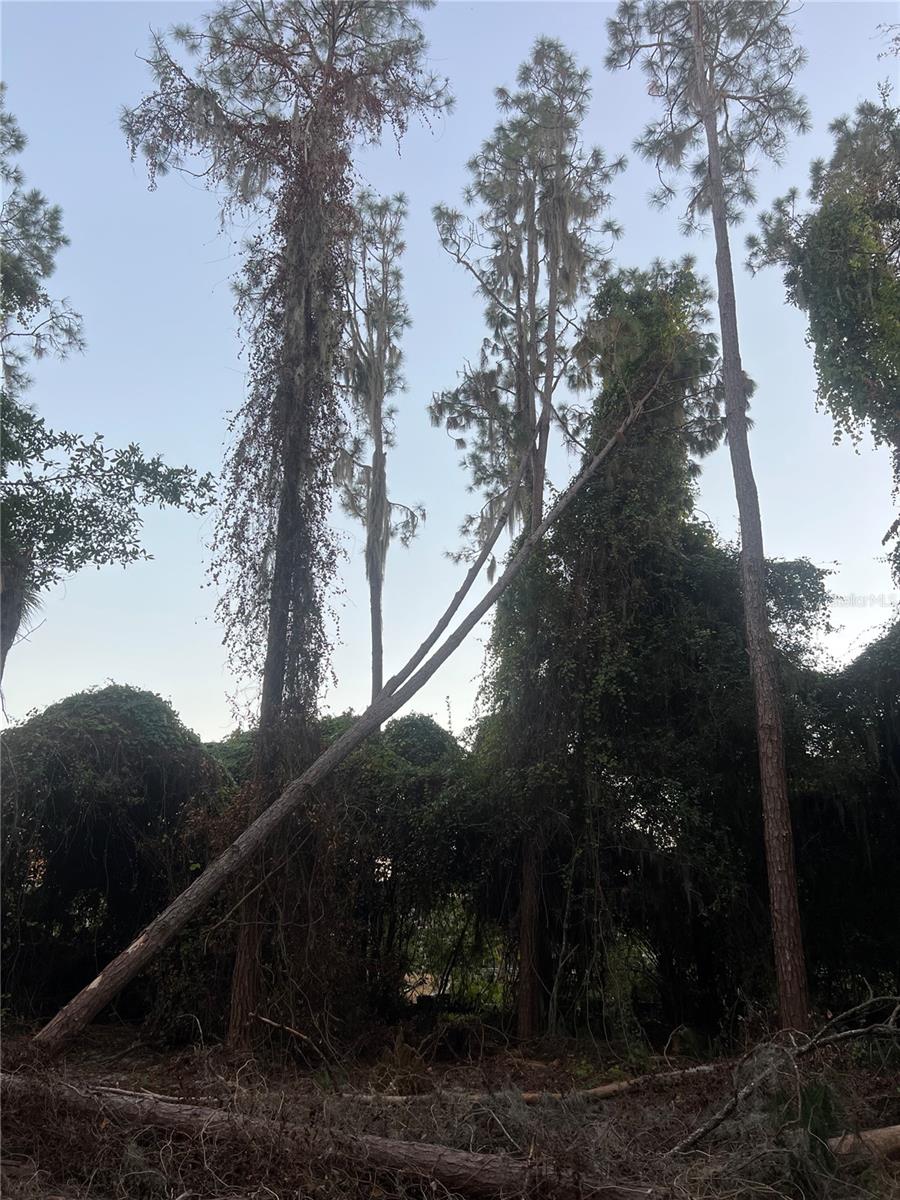 Image 37 of 38 For 705 Newell Hill Road