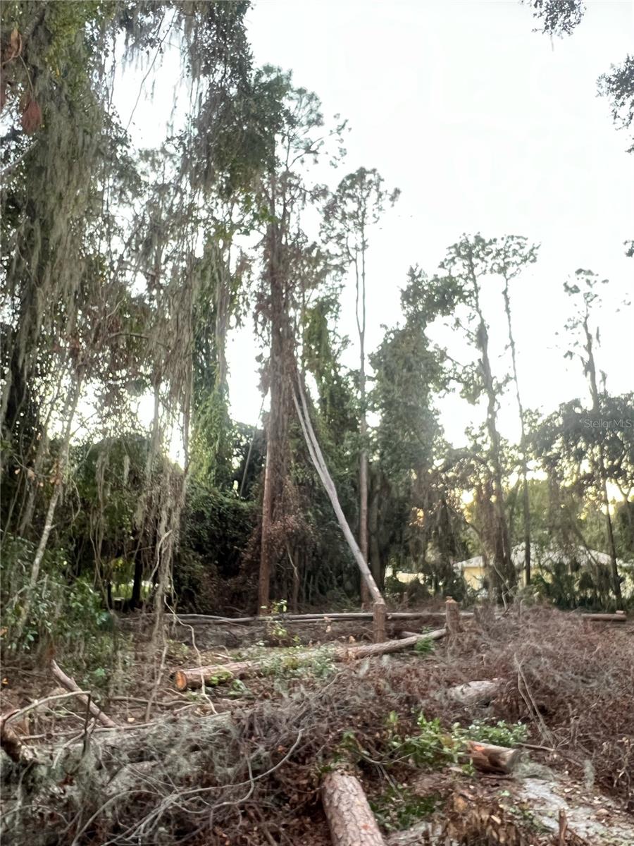 Image 38 of 38 For 705 Newell Hill Road