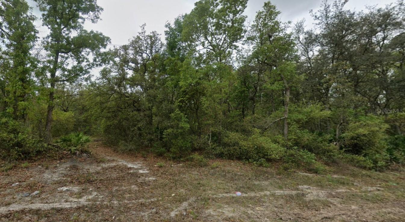 Listing Details for Highline Trail, SATSUMA, FL 32189
