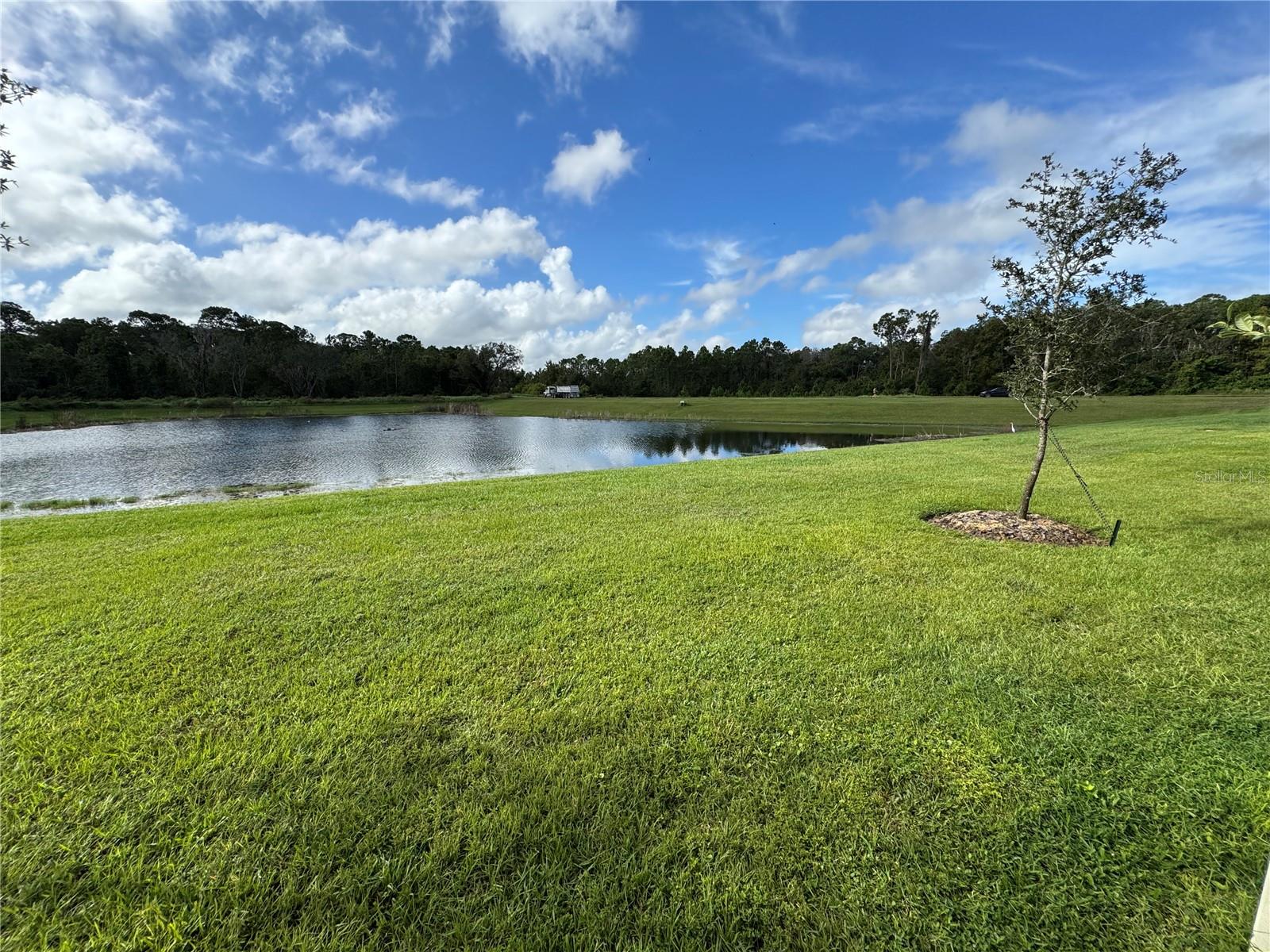 Image 11 of 14 For 762 Legacy Drive