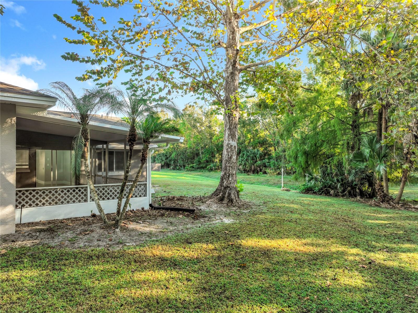 Image 51 of 55 For 1002 Beckstrom Drive