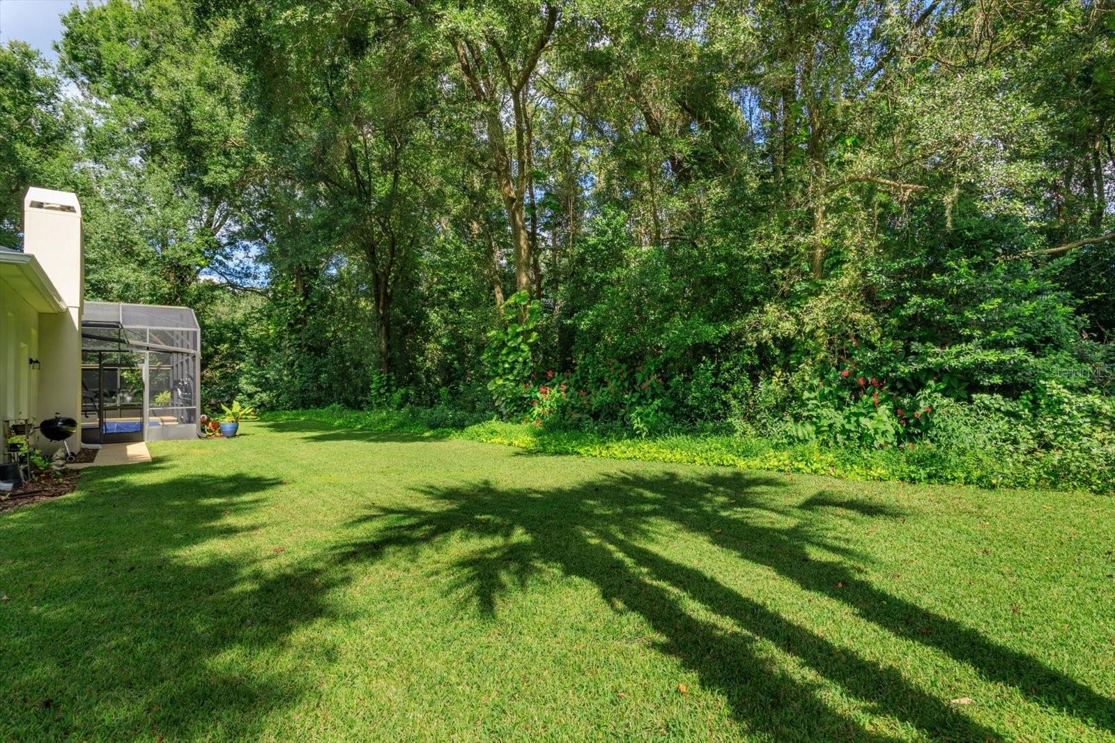 Image 36 of 41 For 8158 Emerald Forest Court