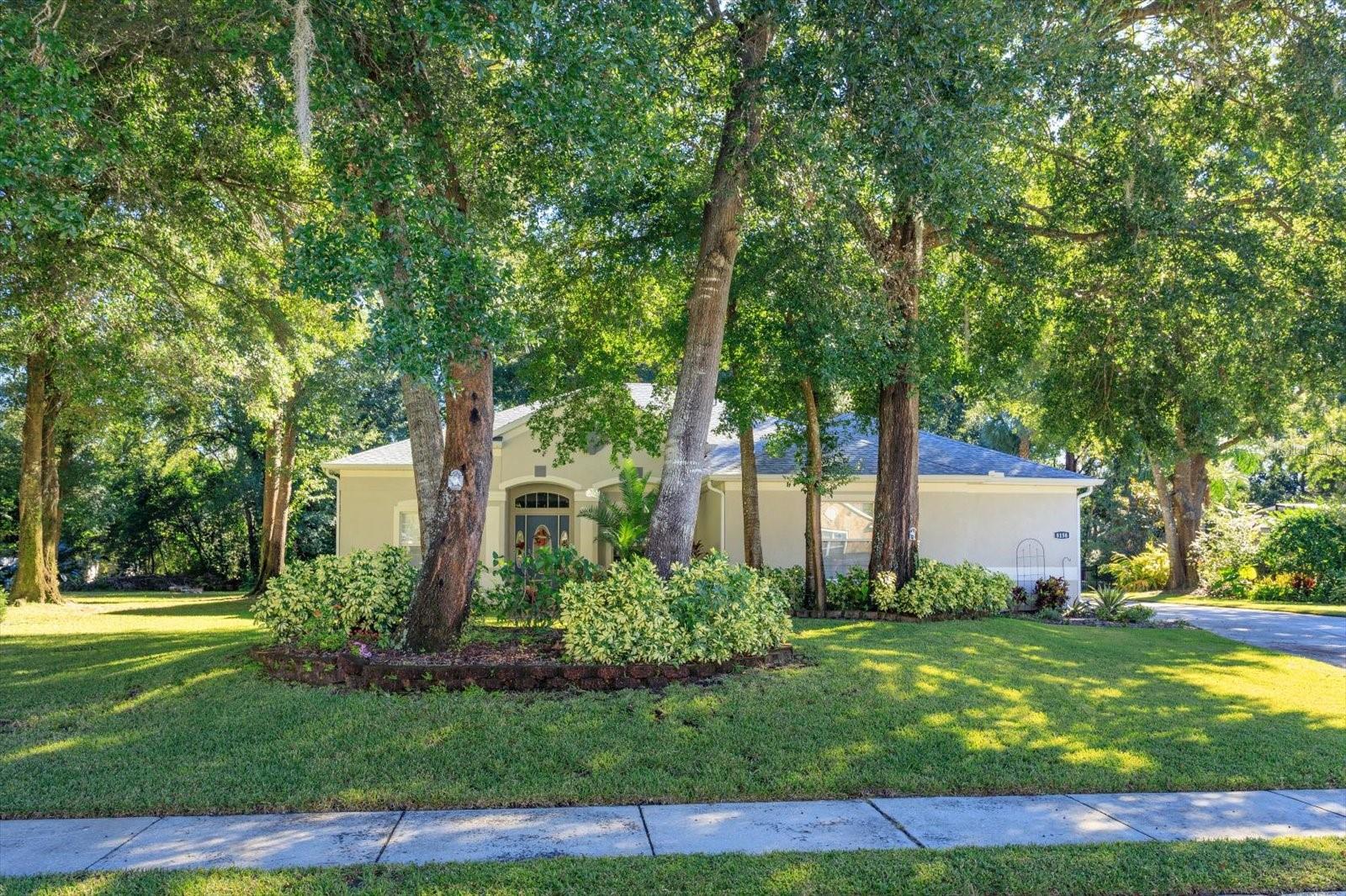 Image 39 of 41 For 8158 Emerald Forest Court