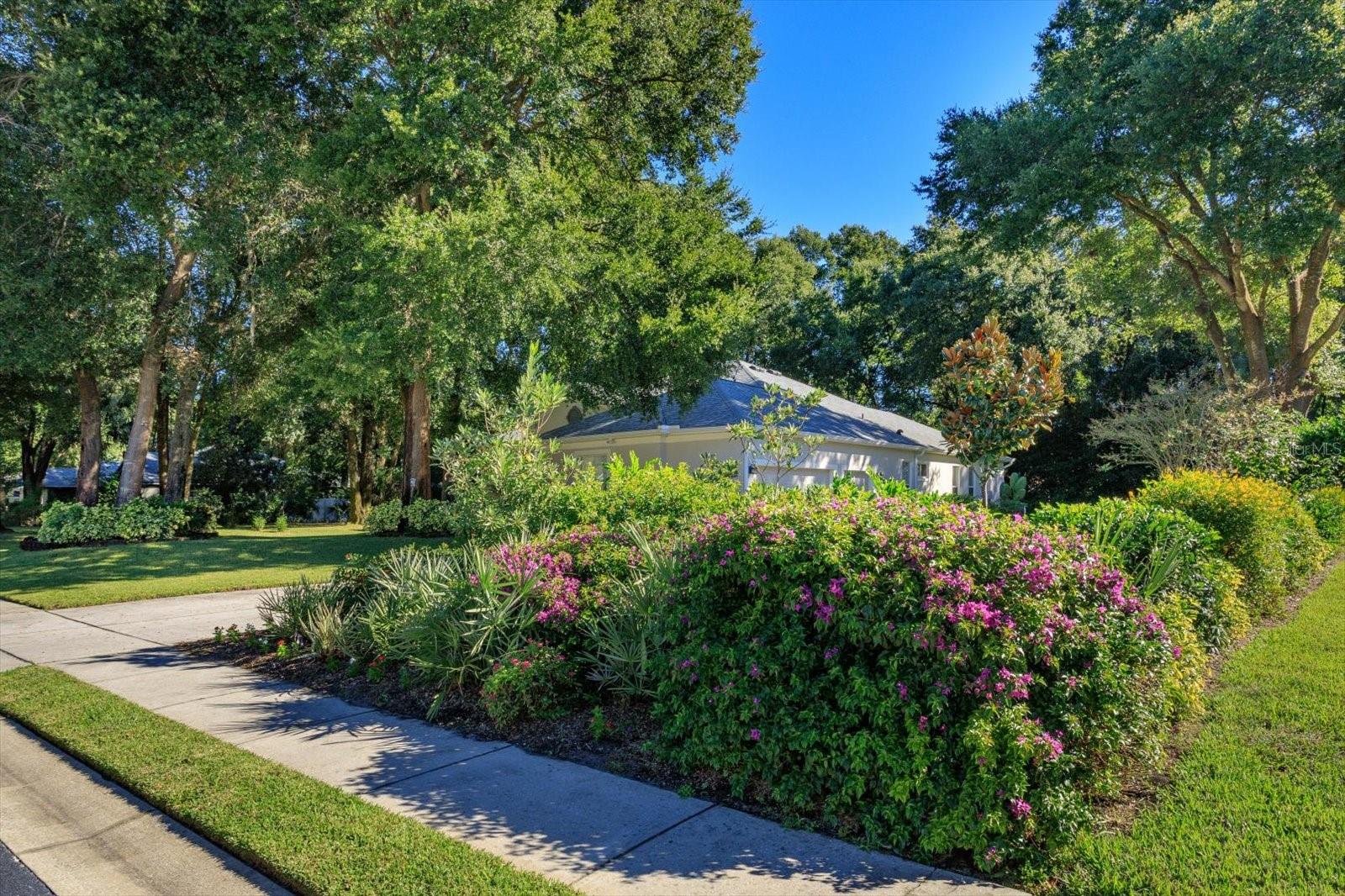 Image 40 of 41 For 8158 Emerald Forest Court