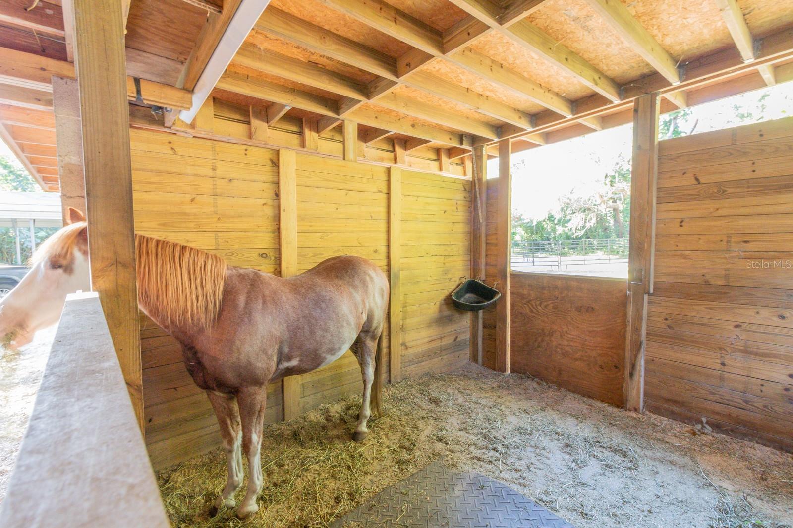 Image 29 of 86 For 560 Lake Pleasant Road