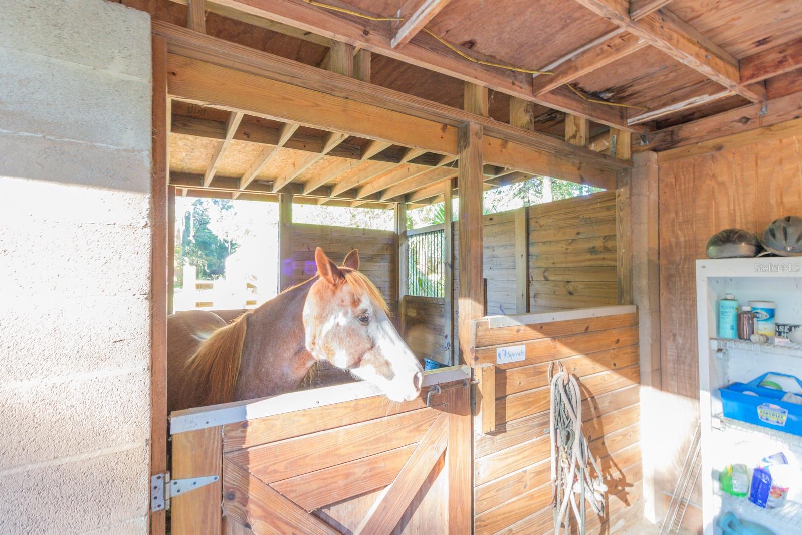 Image 32 of 86 For 560 Lake Pleasant Road