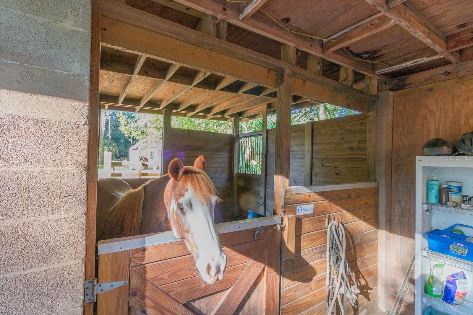 Image 33 of 86 For 560 Lake Pleasant Road