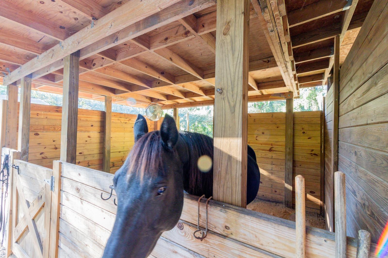 Image 35 of 86 For 560 Lake Pleasant Road