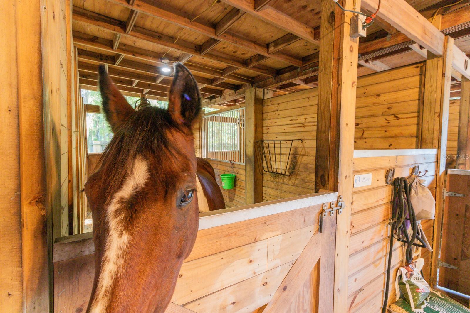 Image 38 of 86 For 560 Lake Pleasant Road