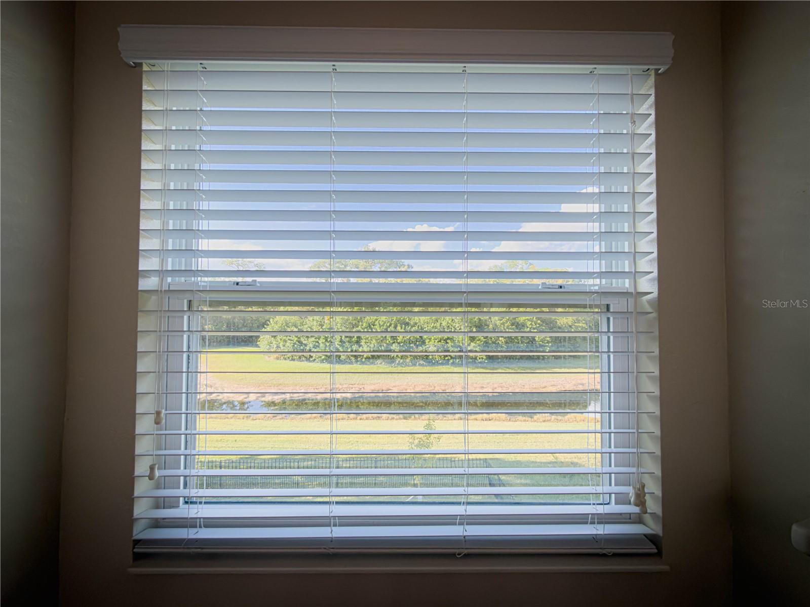 Image 13 of 50 For 5169 Dove Tree Street