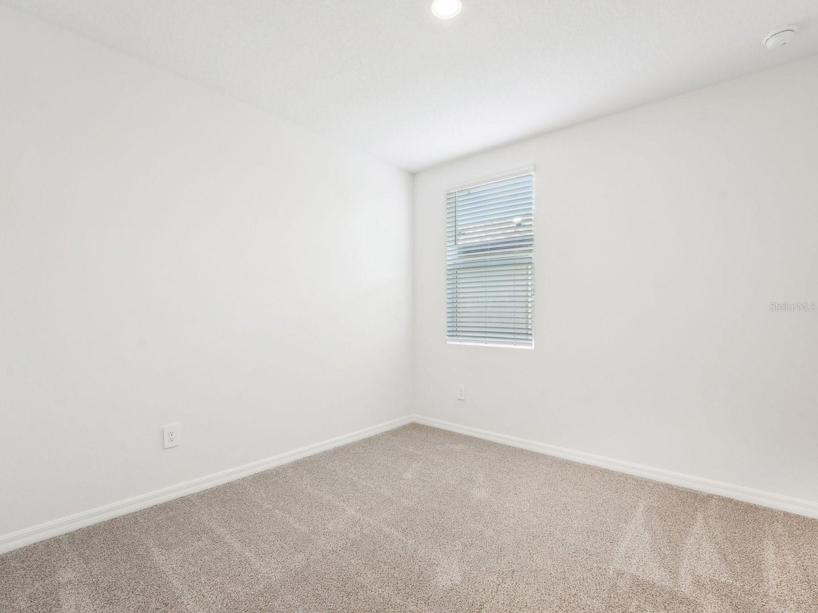 Image 27 of 38 For 31678 Wild Grape Lane