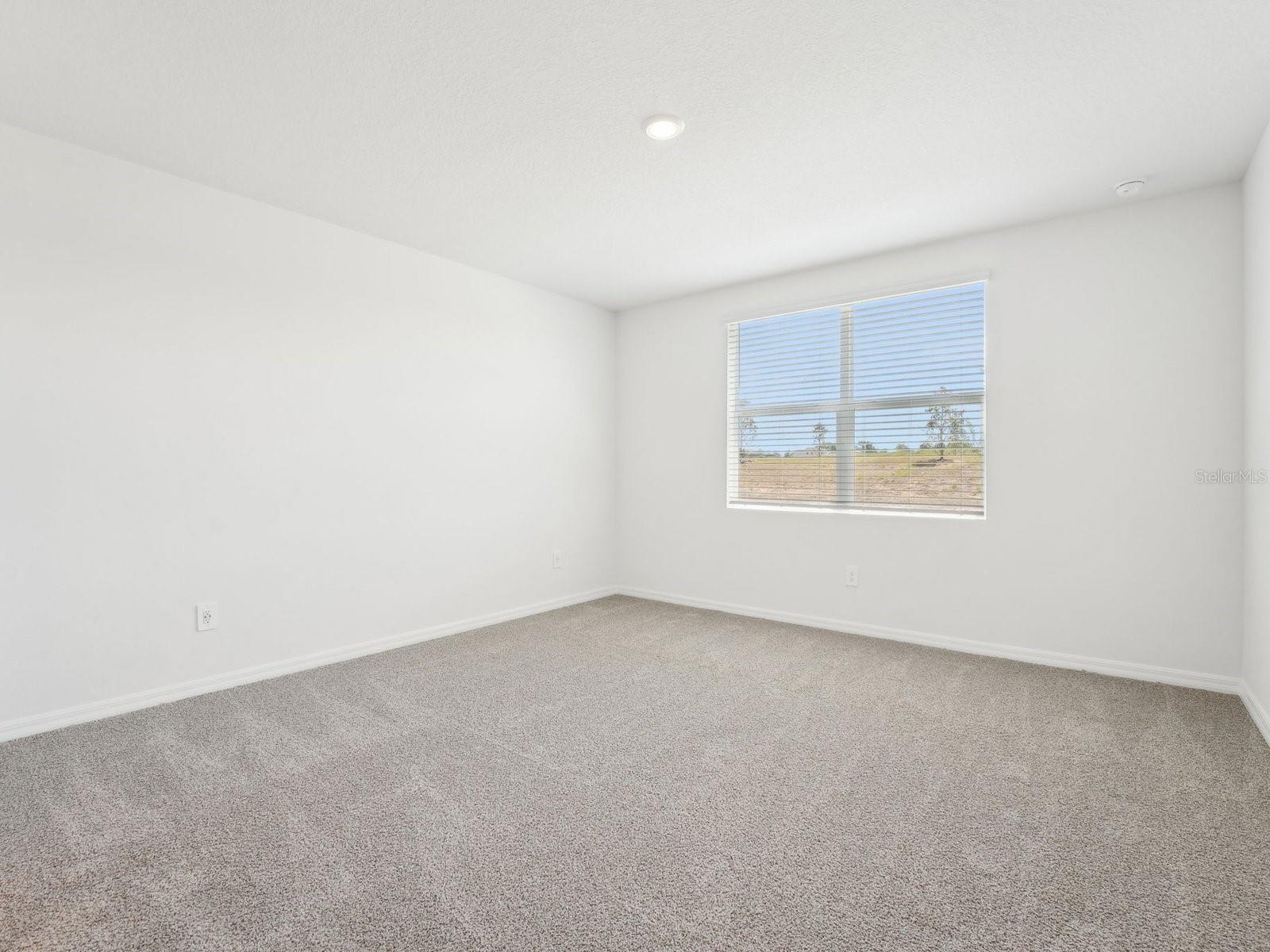 Image 30 of 38 For 31678 Wild Grape Lane