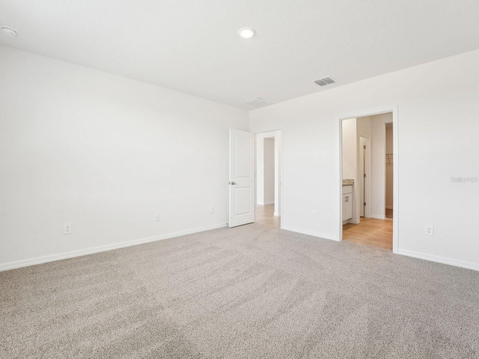 Image 32 of 38 For 31678 Wild Grape Lane