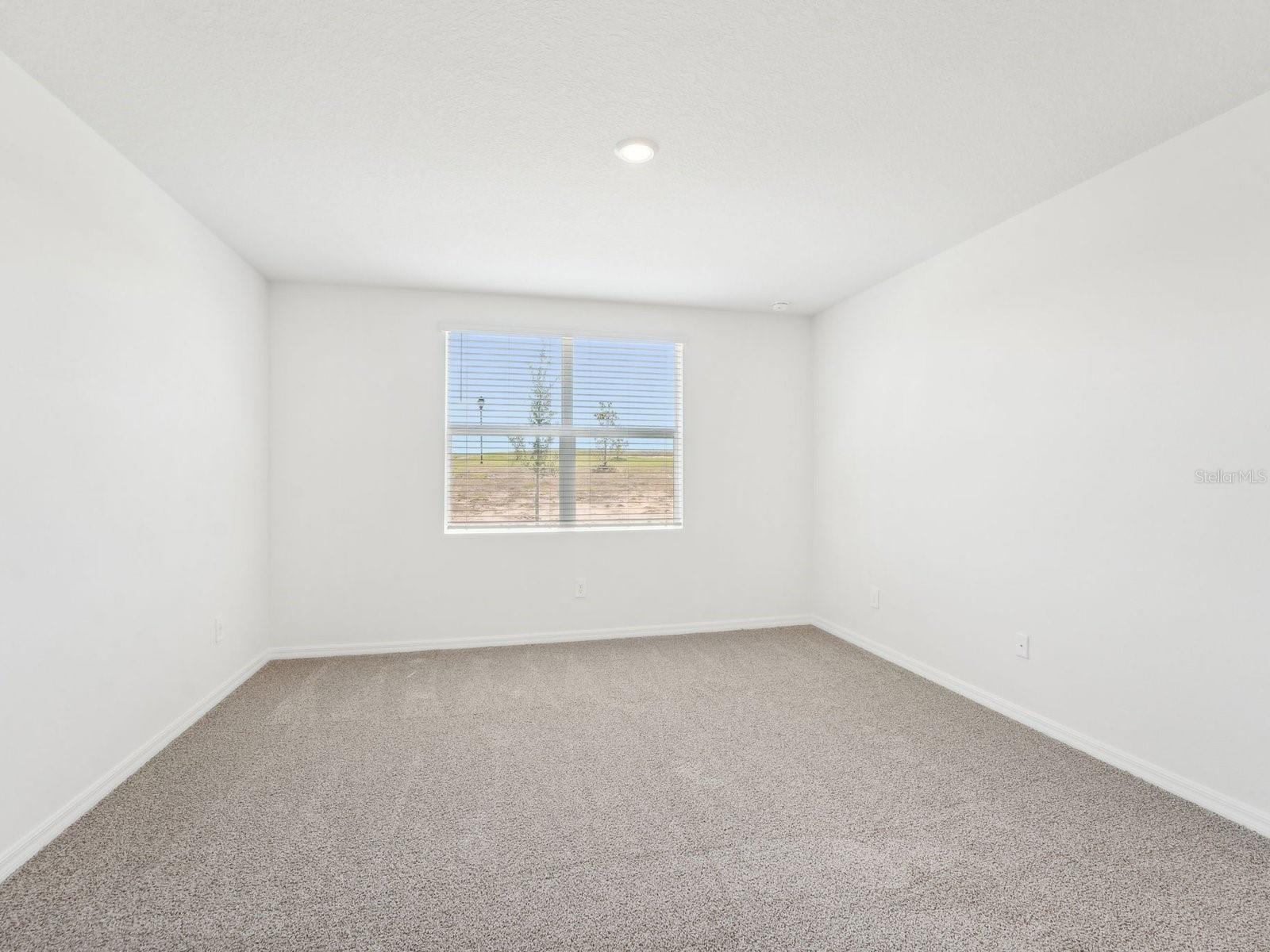 Image 33 of 38 For 31678 Wild Grape Lane