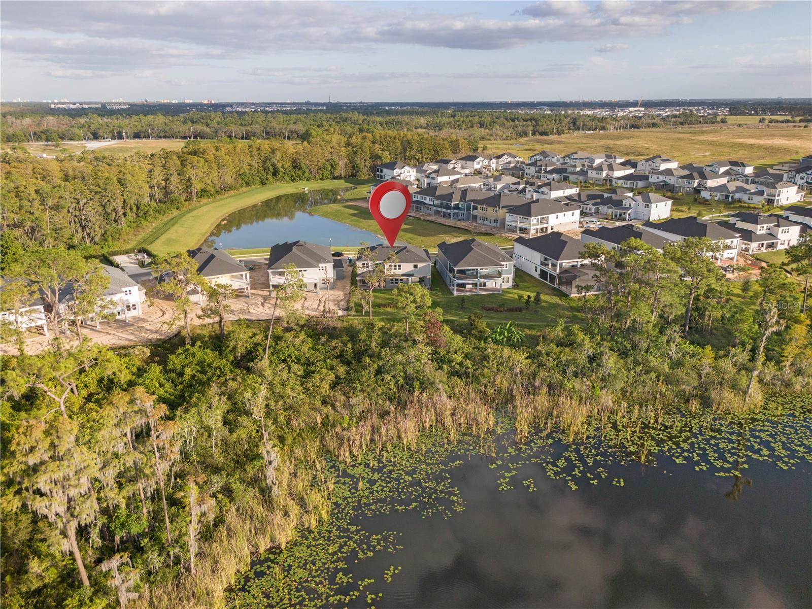 Image 4 of 85 For 17384 Glossy Pomelo Way