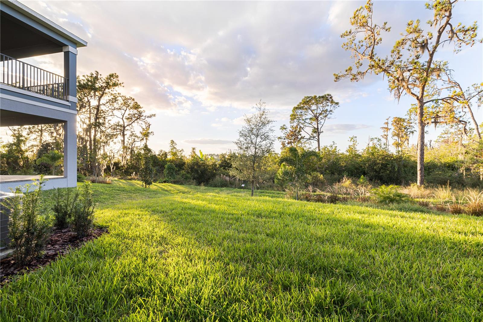 Image 43 of 85 For 17384 Glossy Pomelo Way