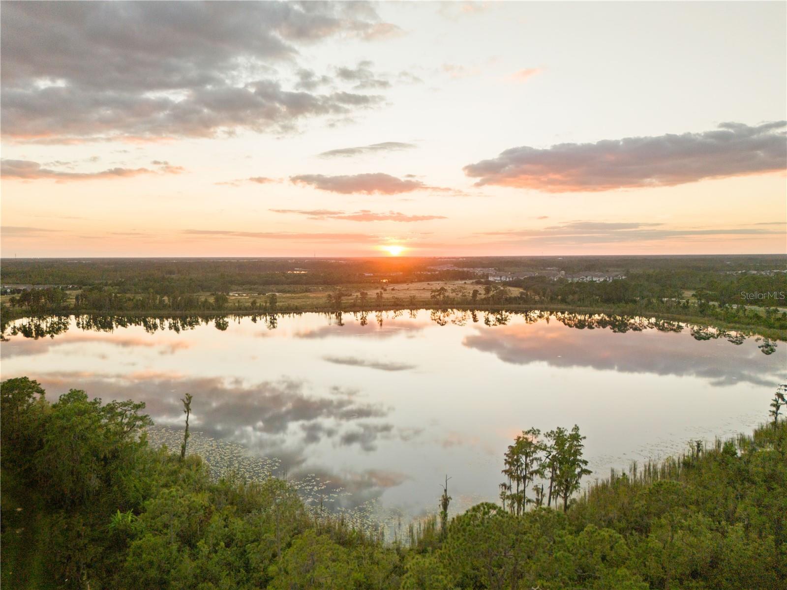 Image 7 of 85 For 17384 Glossy Pomelo Way