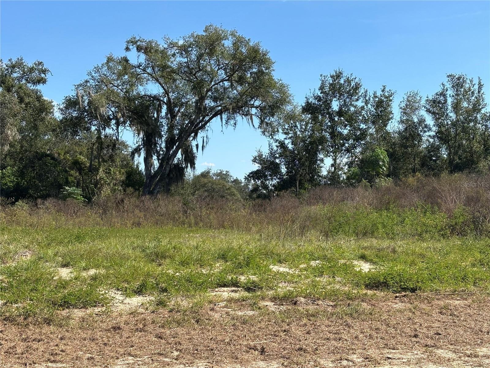 Image 2 of 5 For 2836 Nahele Trail