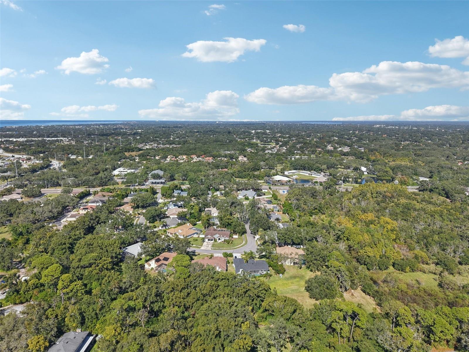 Image 41 of 46 For 2654 Crystal Circle