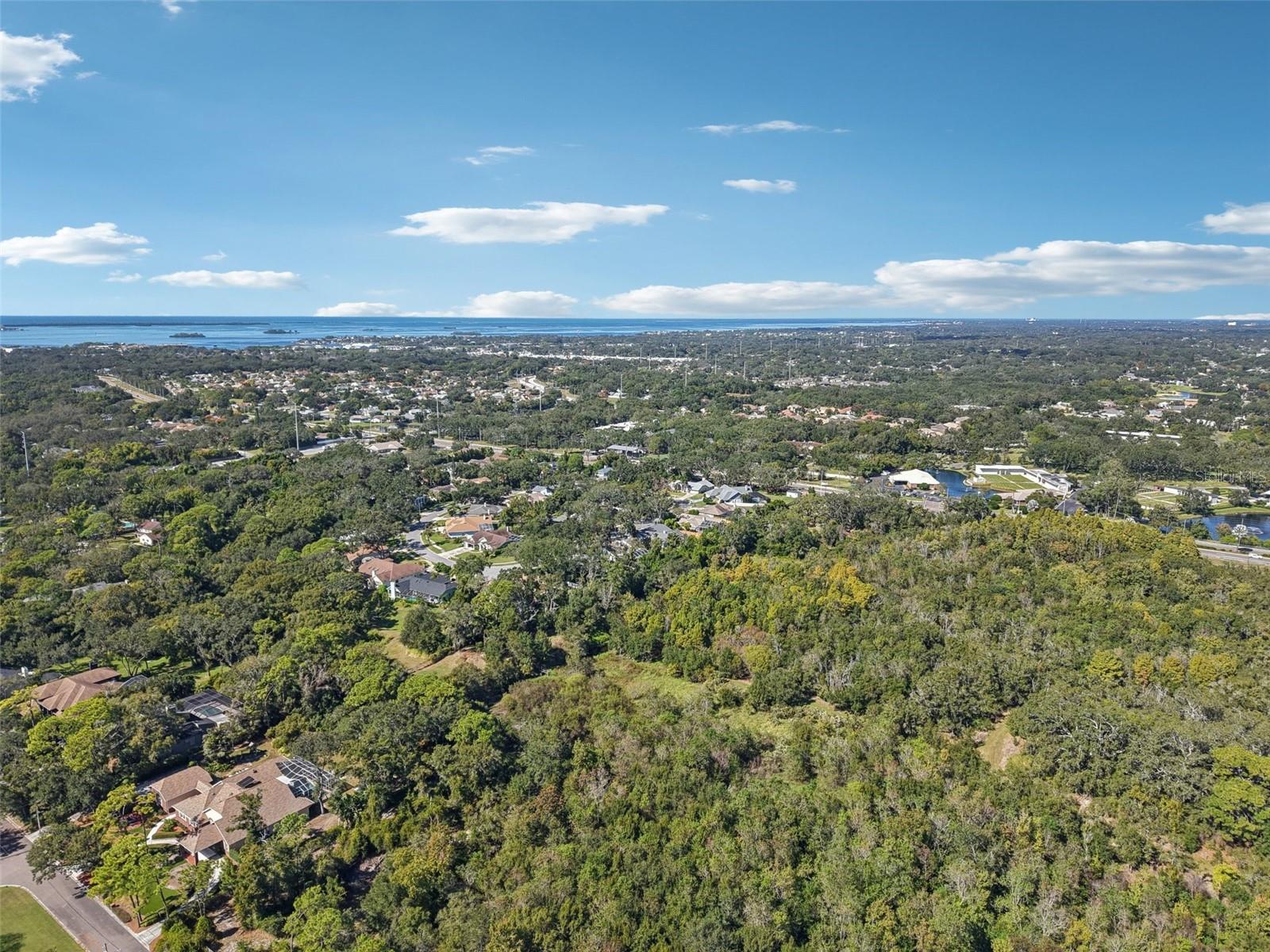 Image 44 of 46 For 2654 Crystal Circle