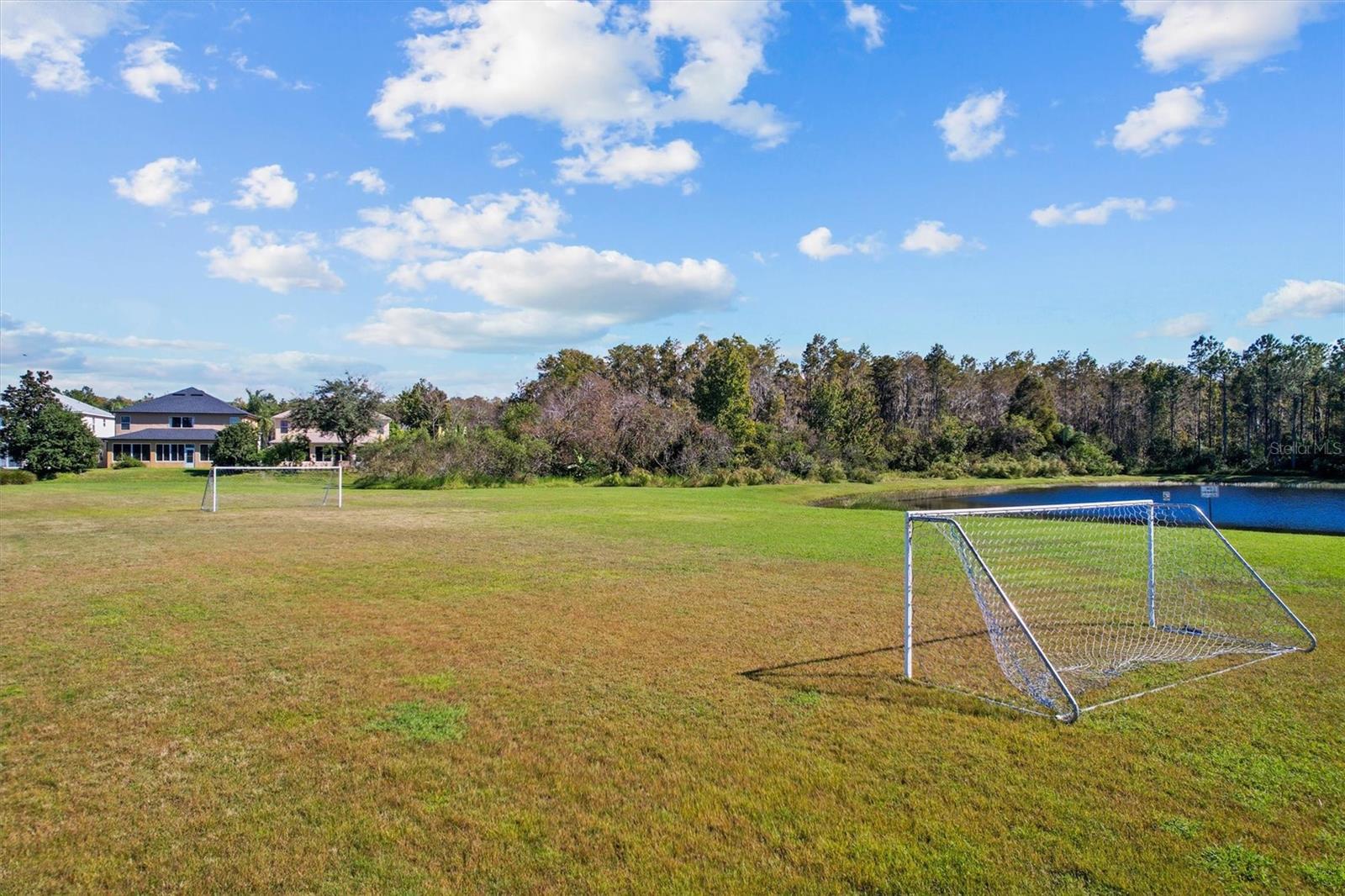 Image 59 of 70 For 13285 Early Frost Circle