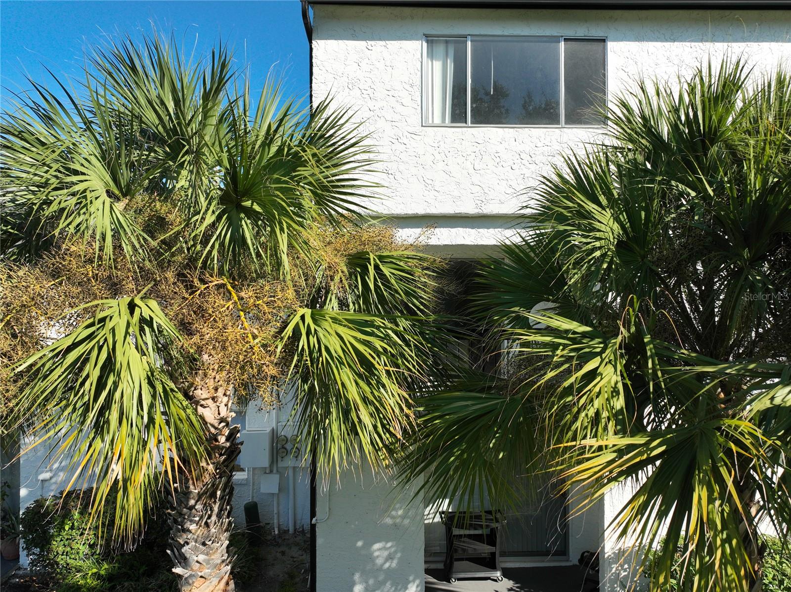 Image 41 of 50 For 4117 Semoran Boulevard 14