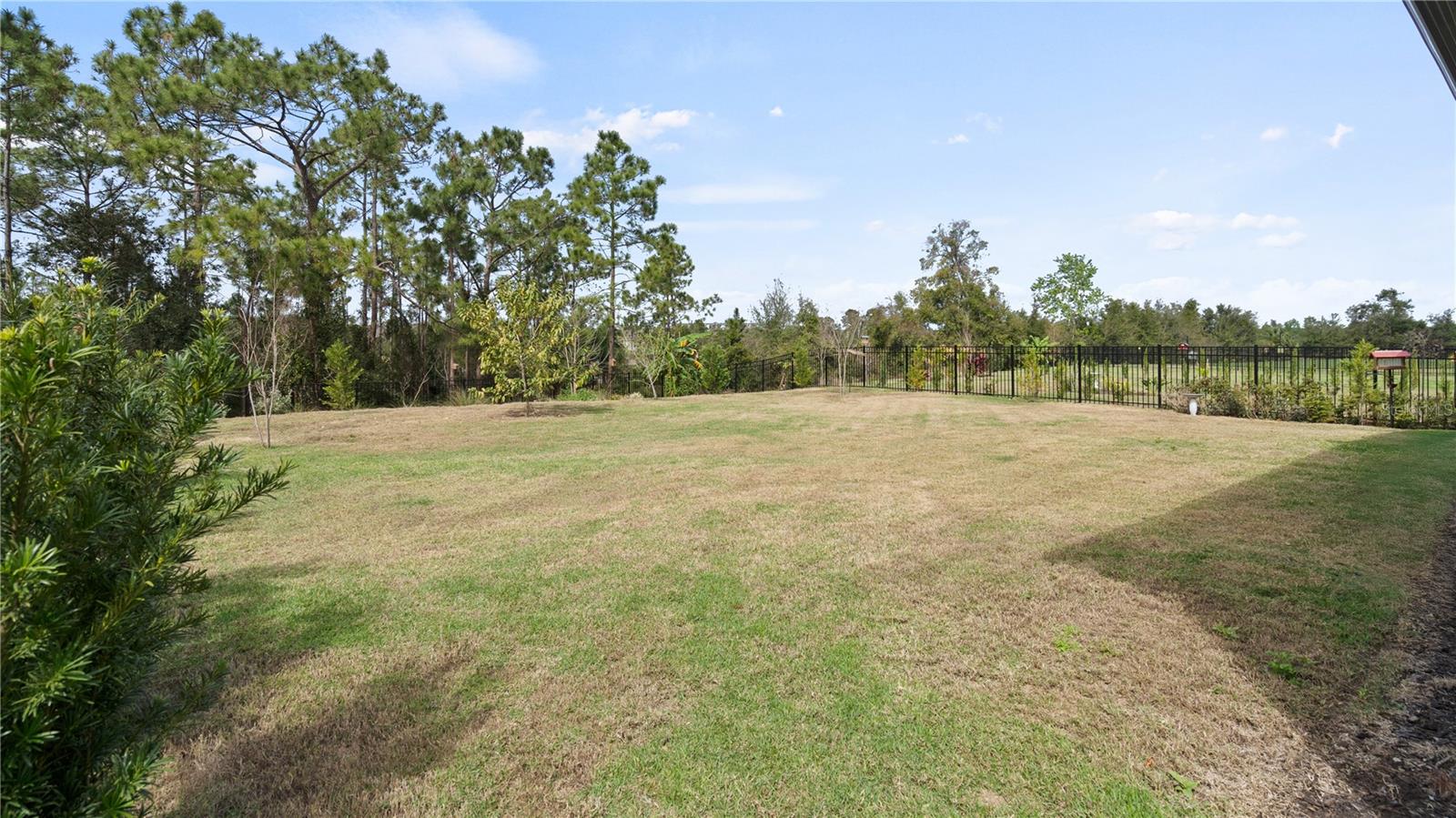 Image 47 of 99 For 2116 Limestone Trail