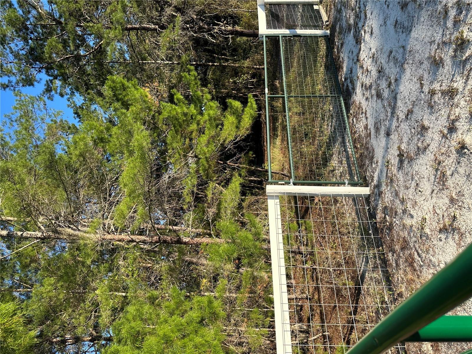 Image 10 of 12 For 401 Dumbarton Avenue