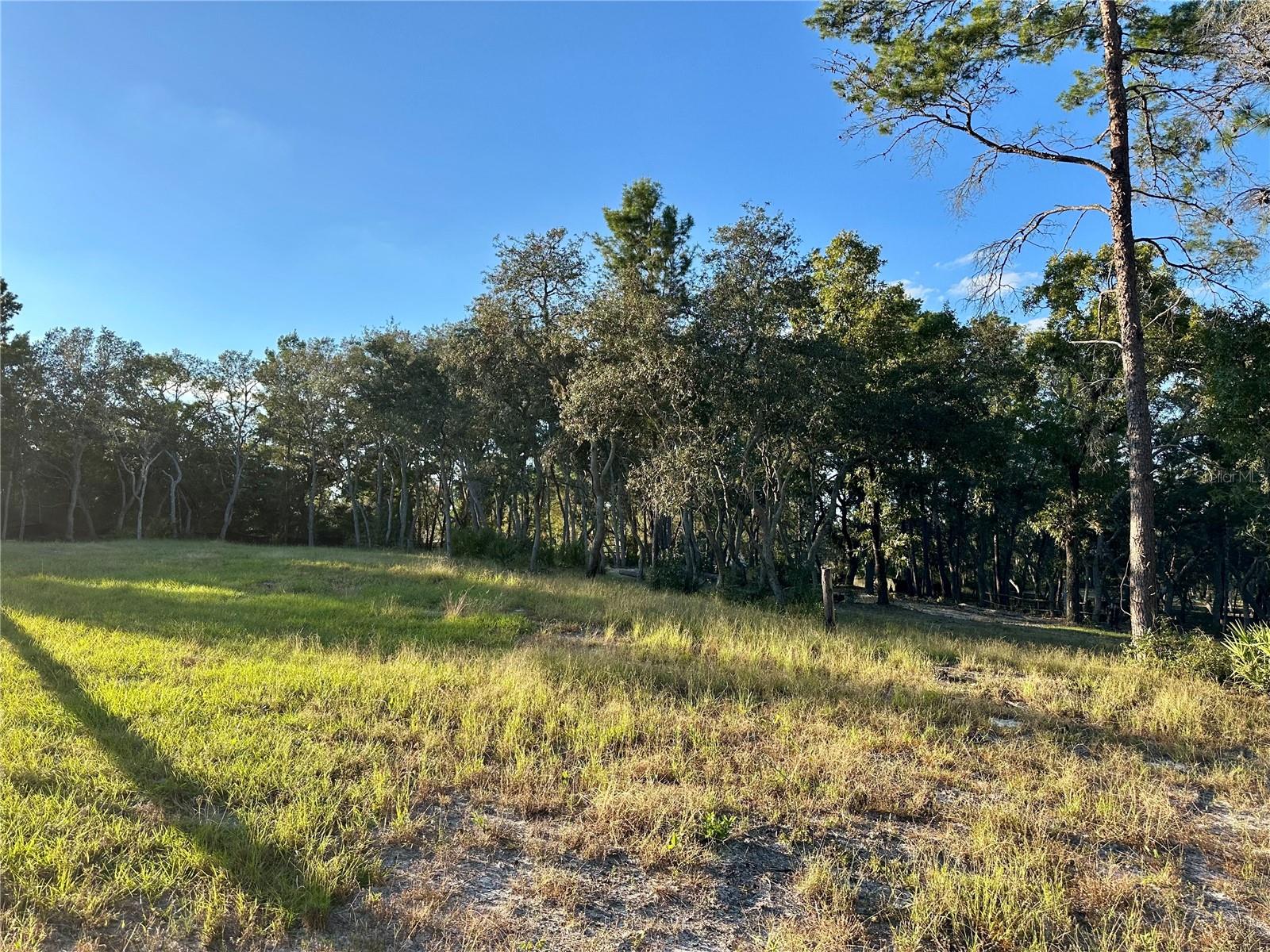 Image 3 of 12 For 401 Dumbarton Avenue