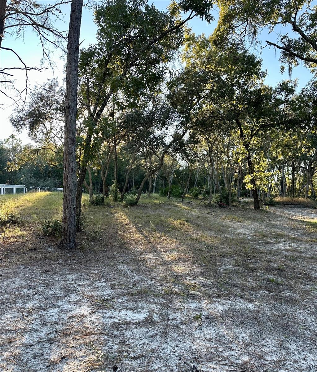 Image 5 of 12 For 401 Dumbarton Avenue