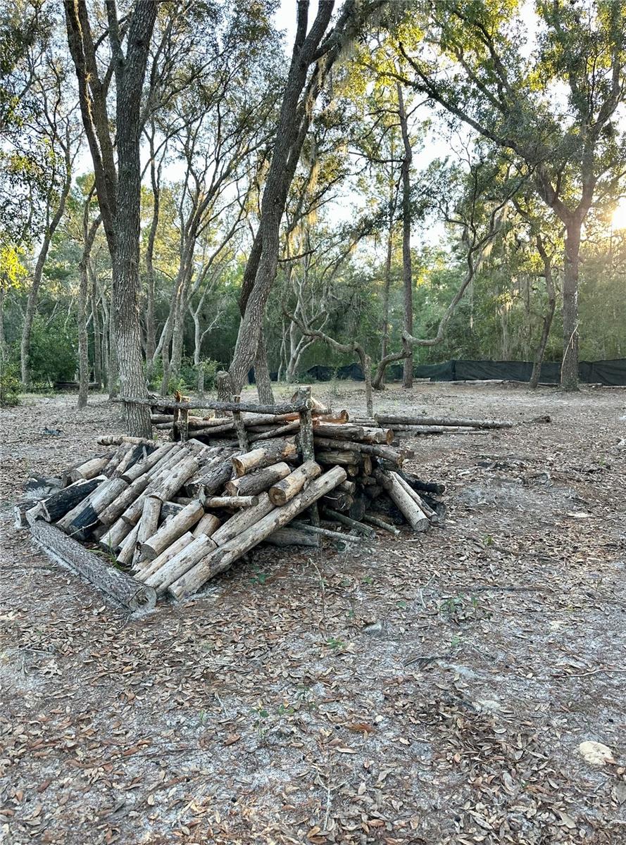 Image 6 of 12 For 401 Dumbarton Avenue