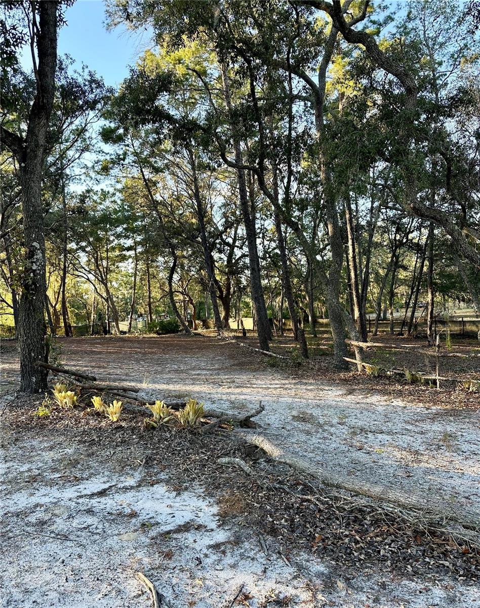 Image 7 of 12 For 401 Dumbarton Avenue