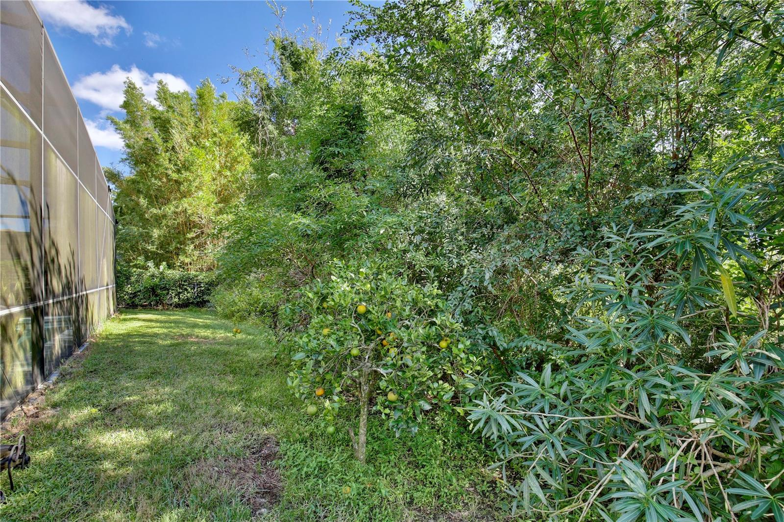 Image 46 of 65 For 450 Terravista Place