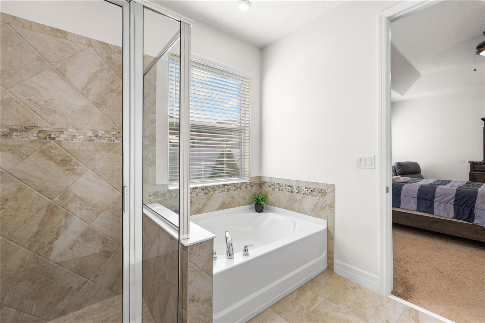 Image 26 of 65 For 2241 Avian Loop