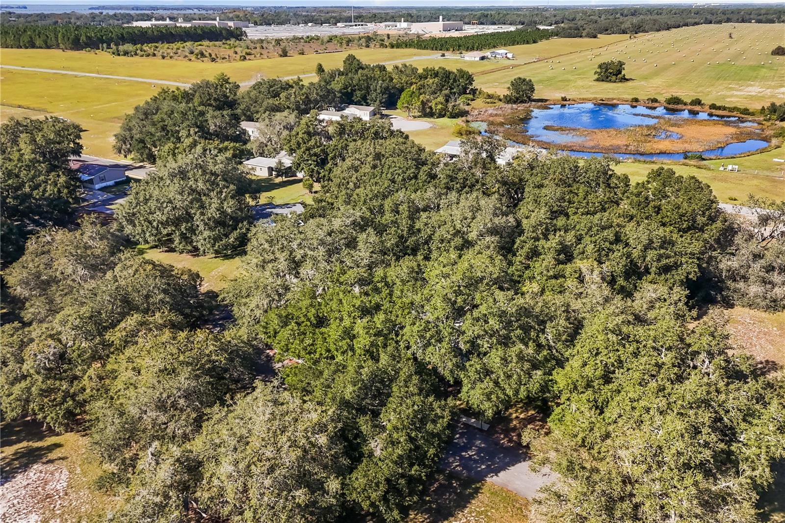 Image 31 of 33 For 14233 Tassleflower Court