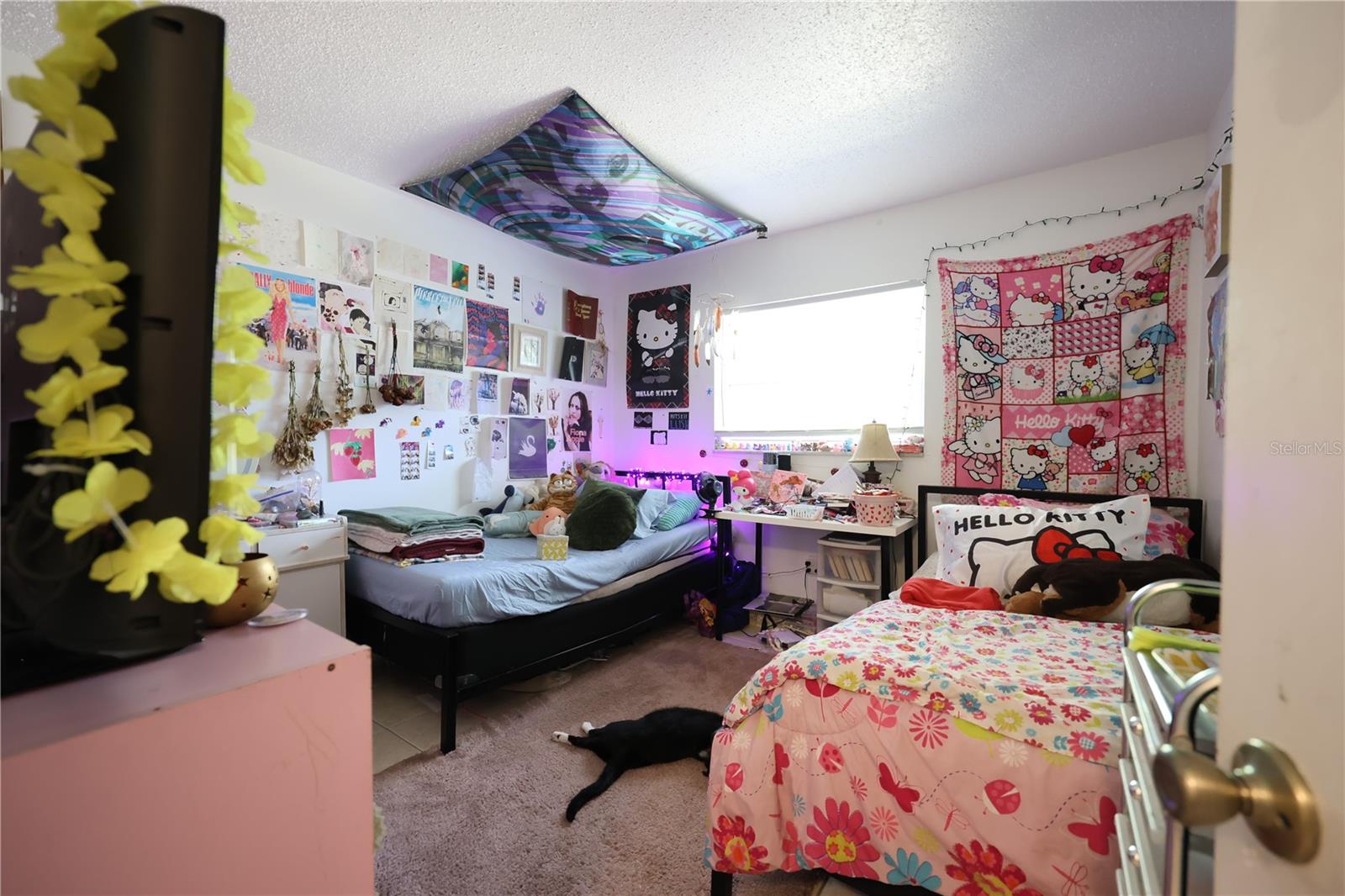 Image 11 of 20 For 539-541 Land Avenue